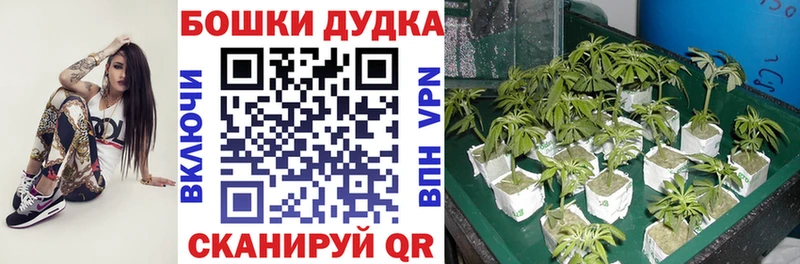 ОМГ ОМГ ссылки  закладки  Новый Уренгой  Марихуана THC 21% 